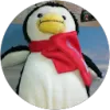 Bernd Schöniger profile picture